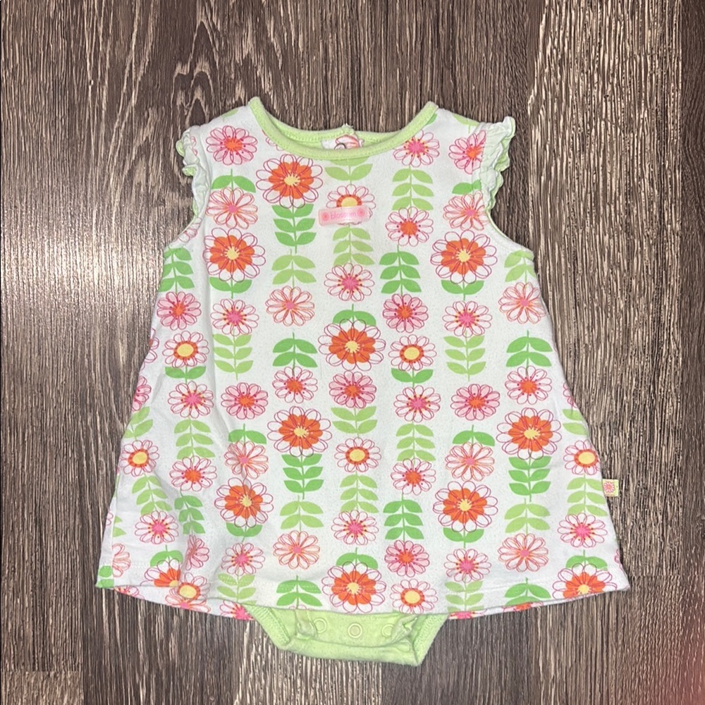 Carter’s 12 month Floral Baby Dress with Bodysuit attached springy colors